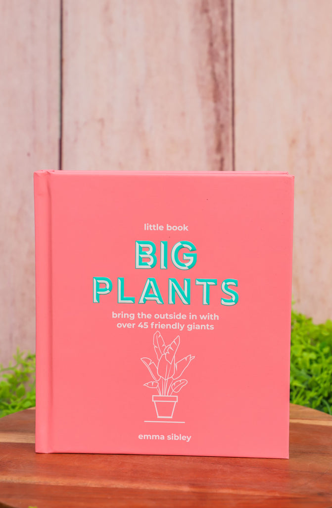 Big Plants: Bring the Outside in With Over 45 Friendly Giants