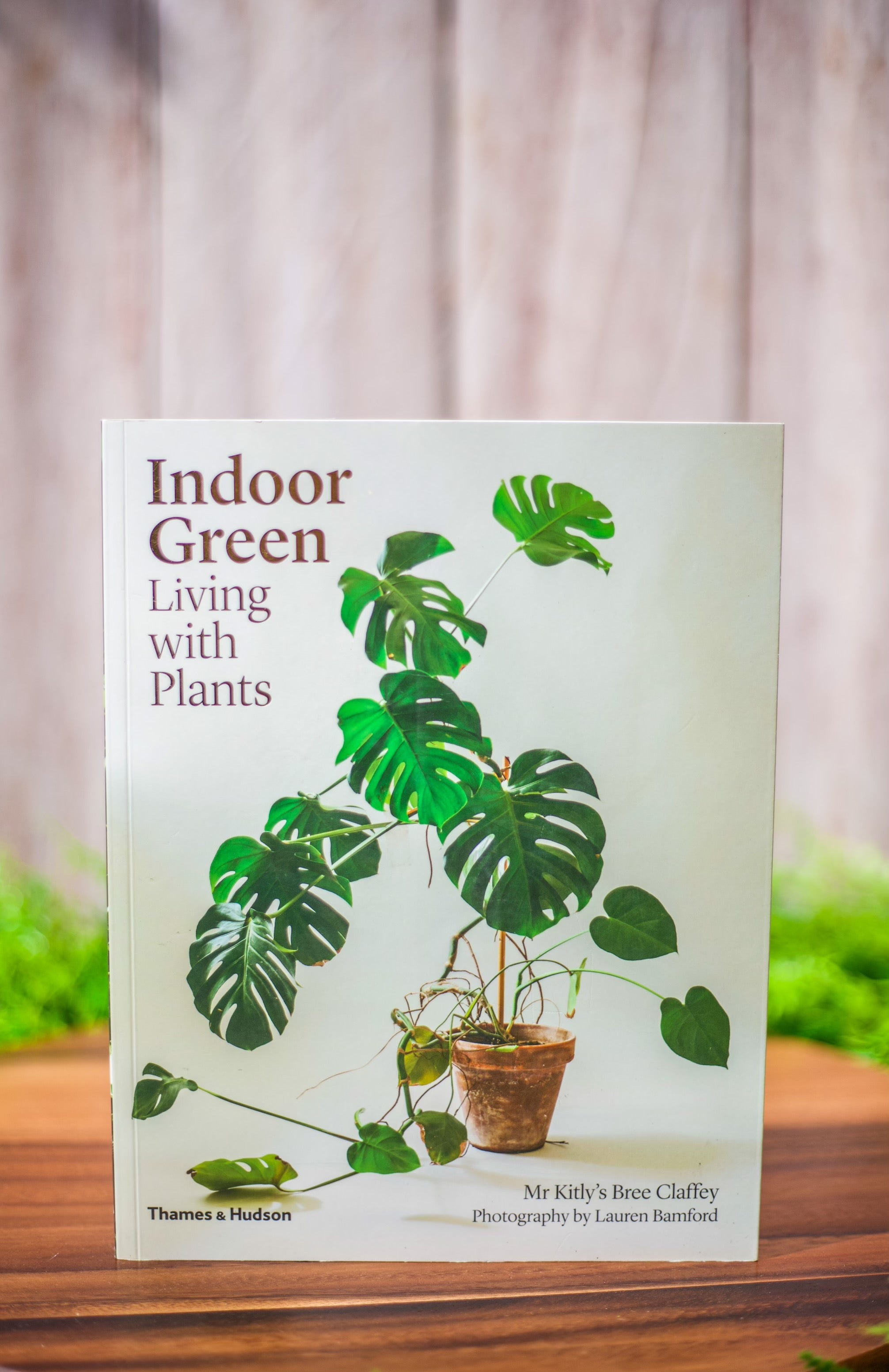 indoor green living with plants book Indoor Green: Living with Plants (THAMES & HUDSON) – ShopTansy