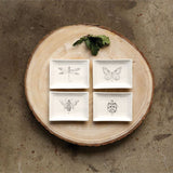 Insect Dishes - 4 Styles