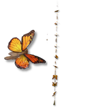 Butterfly Driftwood Capiz Garland