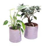 Channa Japanese Planter - 2 Colors
