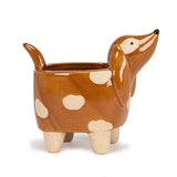 Small Dog Planter