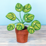 Felt Pilea Money Plant