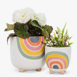 Rainbow Planters - 2 Sizes