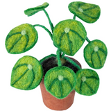 Felt Pilea Money Plant