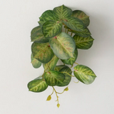 Faux Variegated Caladium Bush