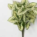 Faux Syngonium Variegated Leaf Bush