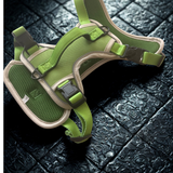 The Planted Pup Harness - 4 Sizes