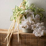 Faux Syngonium Variegated Leaf Bush