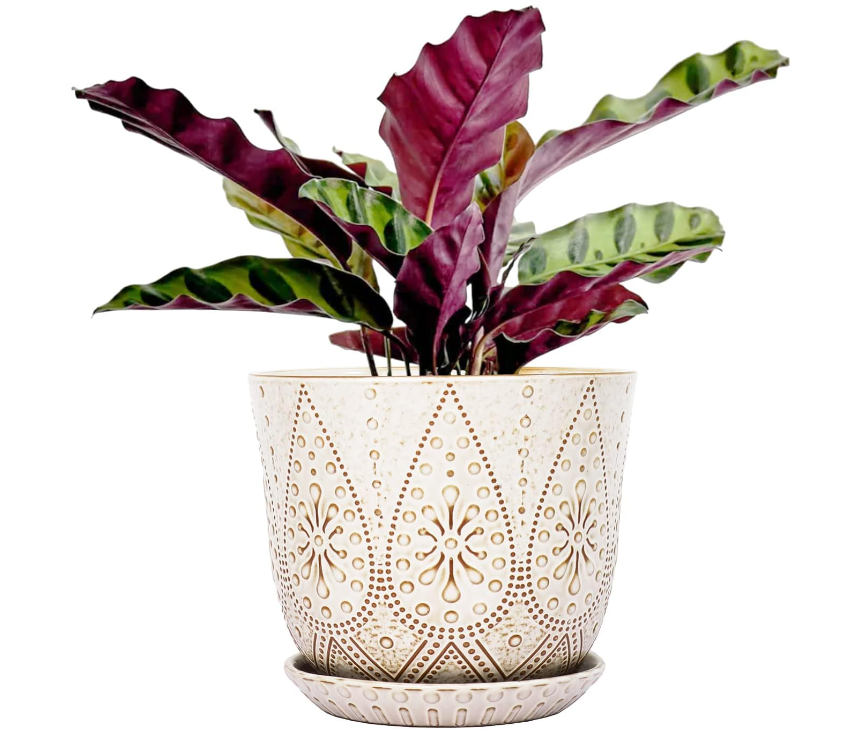 Beaded Ceramic Planter - 2 Colors/2 Sizes