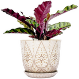 Beaded Ceramic Planter - 2 Colors/2 Sizes