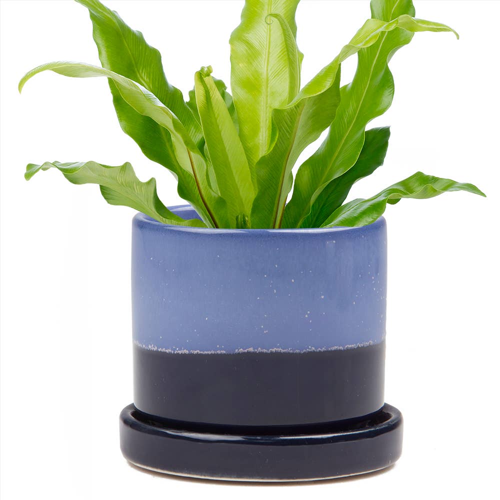 Minute Ceramic Planters - 8 Colors