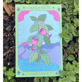 Oregano Tarot Garden + Gift Seed Packet