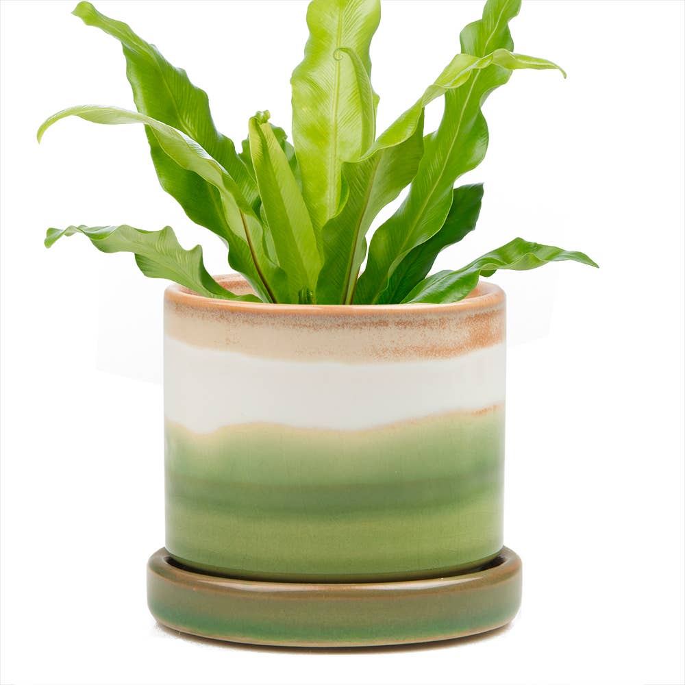 Minute Ceramic Planters - 8 Colors