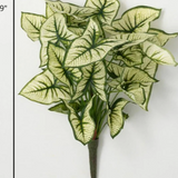 Faux Syngonium Variegated Leaf Bush