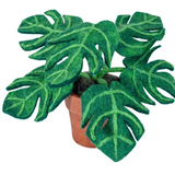 Felt Monstera Plant