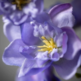 Faux Larkspur Spray - 2 Colors