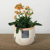 Striped Cement Flower Pot