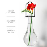 Aqua Hanging Drop Bottle Propagation