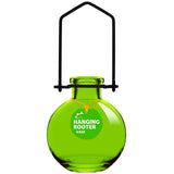 Green Hanging Ball Propagation Vase