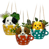 Pups In Cups Mini Hanging Planters - 3 Styles