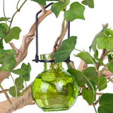 Green Hanging Ball Propagation Vase