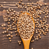 Cilantro Coriander Tarot Seed Packet