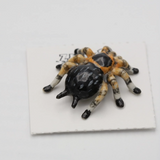 Silk Tarantula Porcelain Miniature