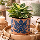 Terracotta & Navy Leaf Planter