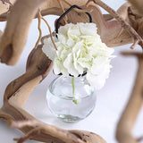 Clear Hanging Ball Propagation Vase