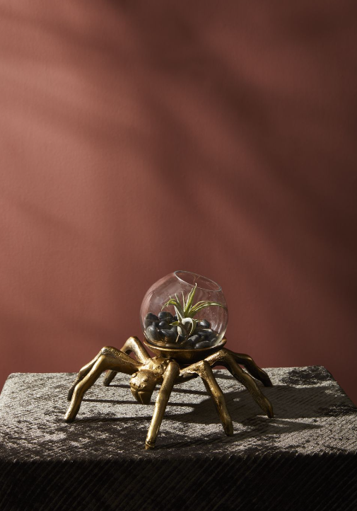 Spider Terrarium