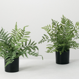 Faux Potted Ferns - 2 Styles