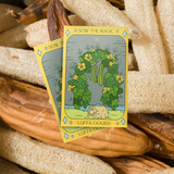 Luffa Gourd Tarot Seed Packet