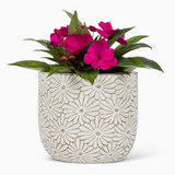 White Daisy Round Planter - 2 Sizes