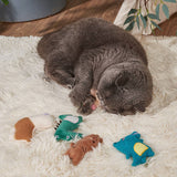 Cute Soft Cat Toy - Set of 5