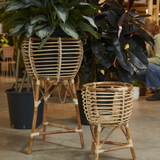 Clancy Plant Stand - 2 Sizes