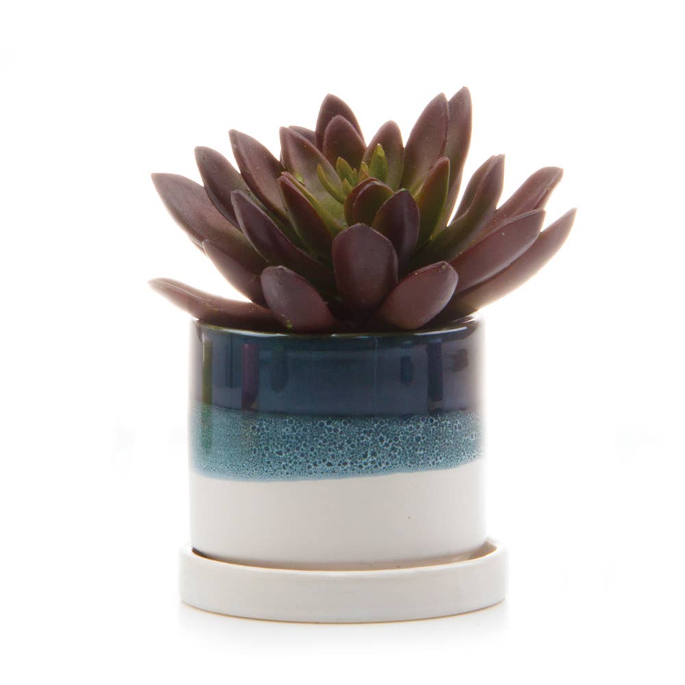 Minute Ceramic Planters - 8 Colors