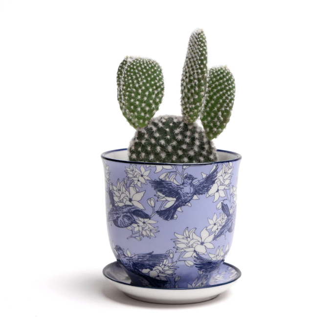 Liberte Pots - 9 Styles & Colors