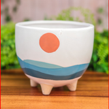 4" Planters - 3 Styles