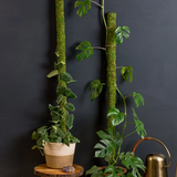 SuperMoss Moss Poles