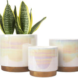 Pearl Ceramic Planter - 3 Sizes/4 Colors