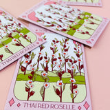 Thai Red Roselle Hibiscus Tarot Garden + Gift Seed Packet