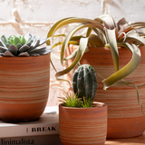 Striped Ceramic Planters - 3 Sizes