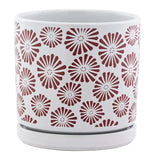 Red Zinnia White Planter with Saucer