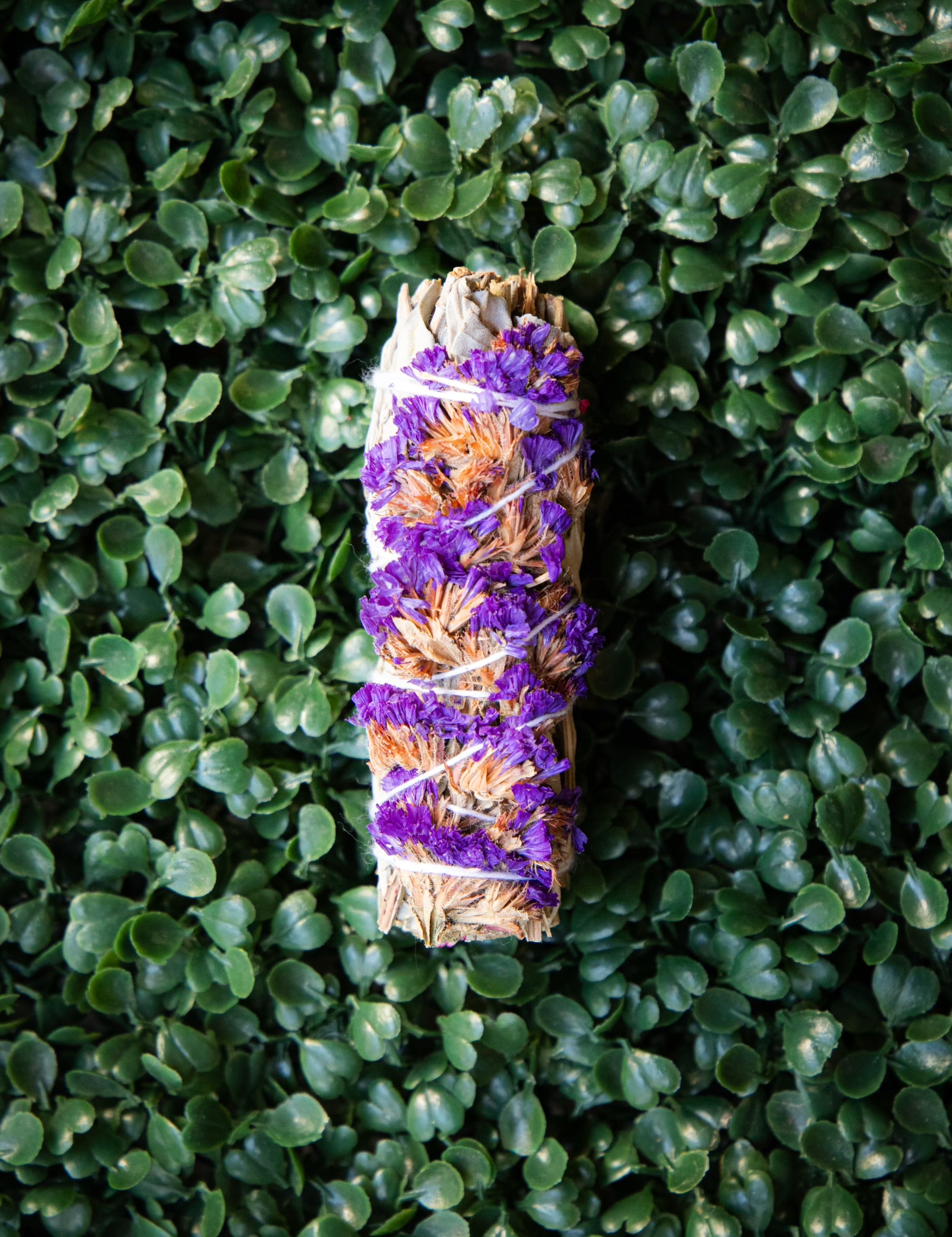 Dried Flower Sage Bundle - 13 Styles