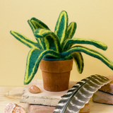 Felt Snake Plant