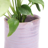 Channa Japanese Planter - 2 Colors