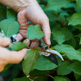 Garden Pruners -  3 Colors