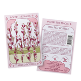 Thai Red Roselle Hibiscus Tarot Garden + Gift Seed Packet