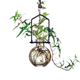 Clear Hanging Ball Propagation Vase